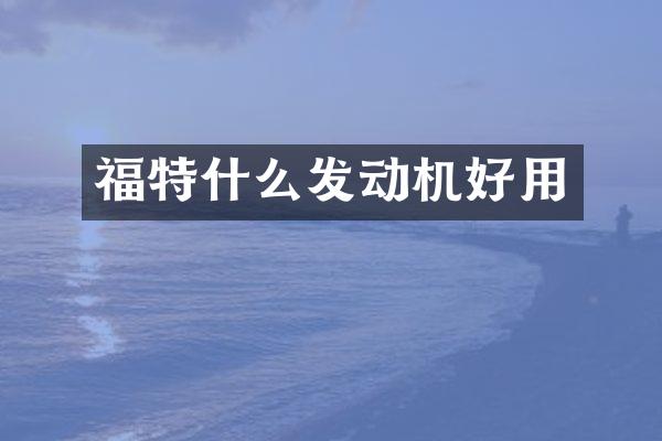 福特什么发动机好用