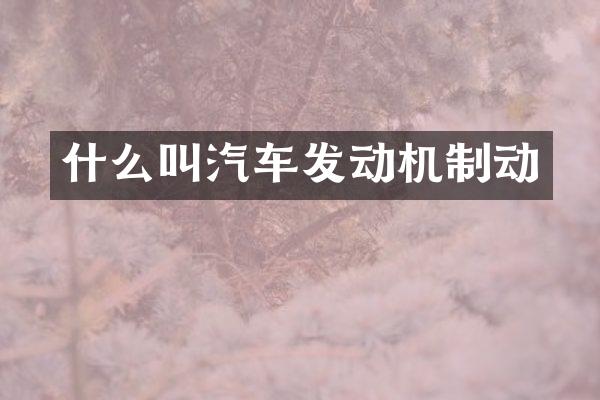 什么叫汽车发动机制动