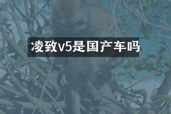 凌致v5是国产车吗