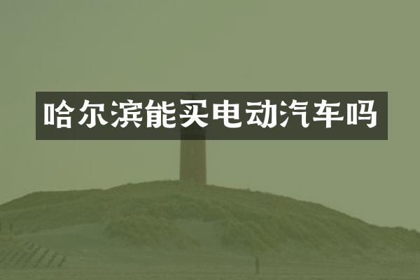 哈尔滨能买电动汽车吗