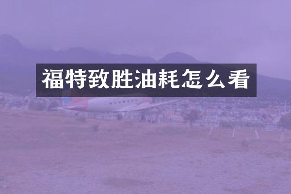 福特致胜油耗怎么看