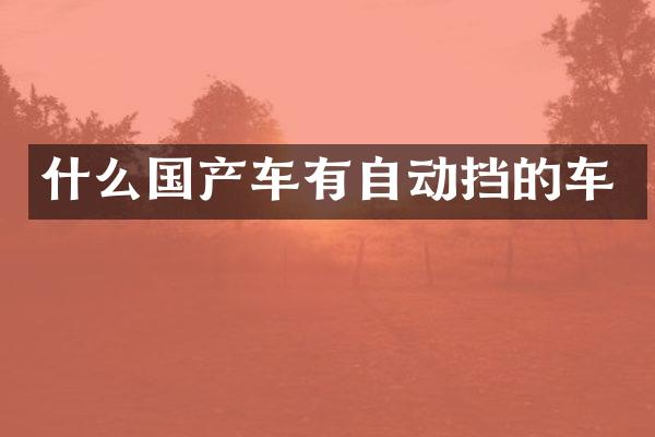 什么国产车有自动挡的车