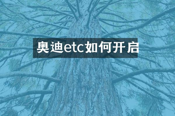 奥迪etc如何开启
