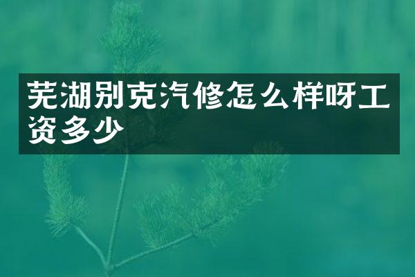 芜湖别克汽修怎么样呀工资多少