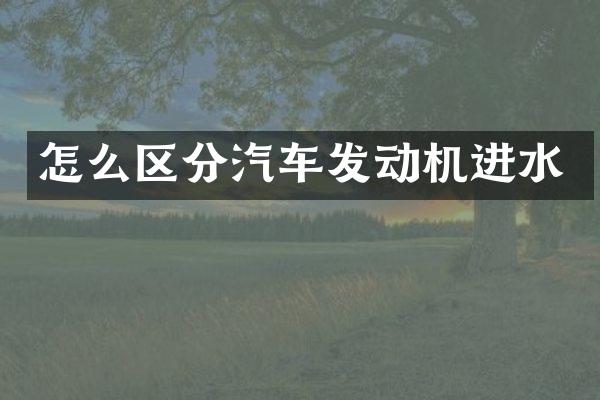 怎么区分汽车发动机进水