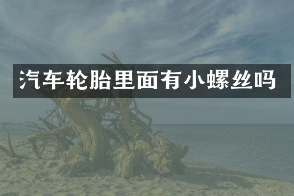 汽车轮胎里面有小螺丝吗