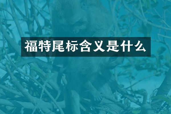 福特尾标含义是什么