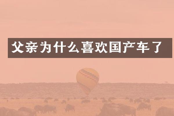 父亲为什么喜欢国产车了