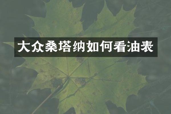 大众桑塔纳如何看油表