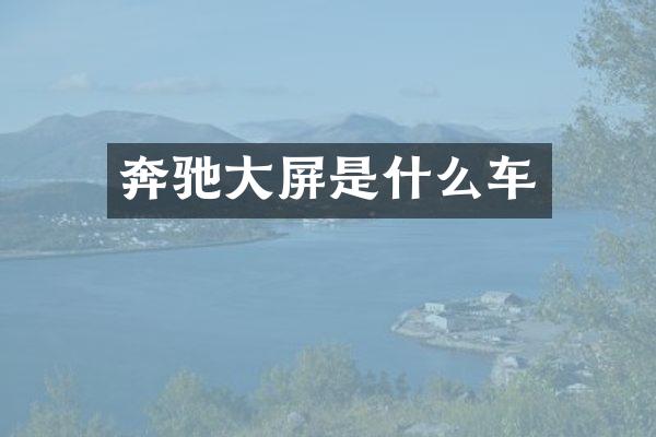 奔驰大屏是什么车