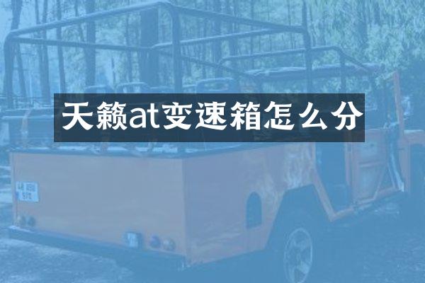 天籁at变速箱怎么分