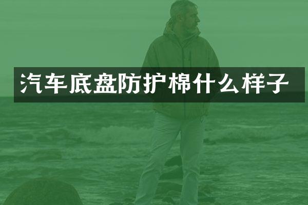 汽车底盘防护棉什么样子