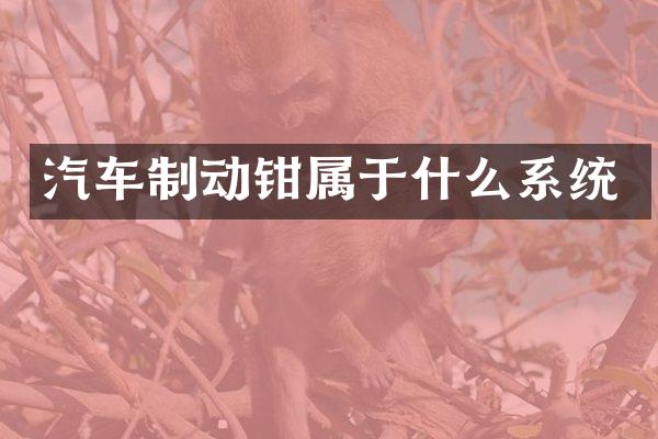 汽车制动钳属于什么系统