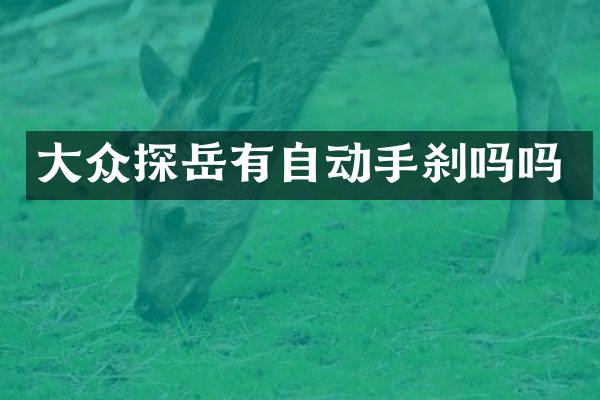 大众探岳有自动手刹吗吗