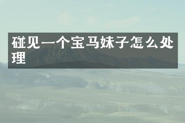 碰见一个宝马妹子怎么处理
