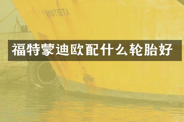 福特蒙迪欧轮胎好