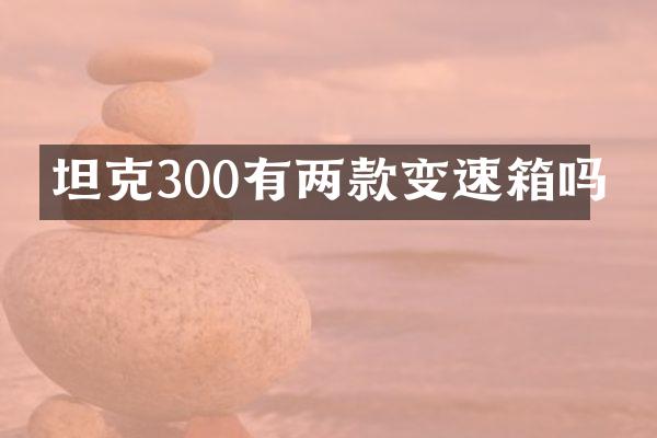 坦克300有两款变速箱吗