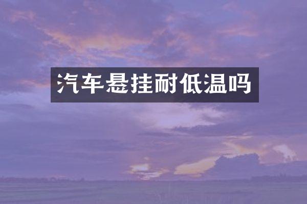 汽车悬挂耐低温吗