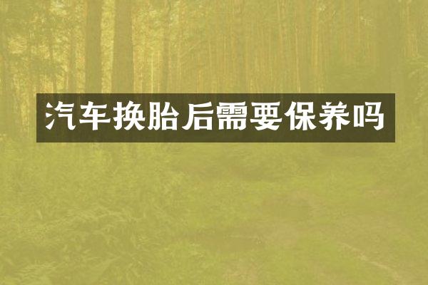 汽车换胎后需要保养吗