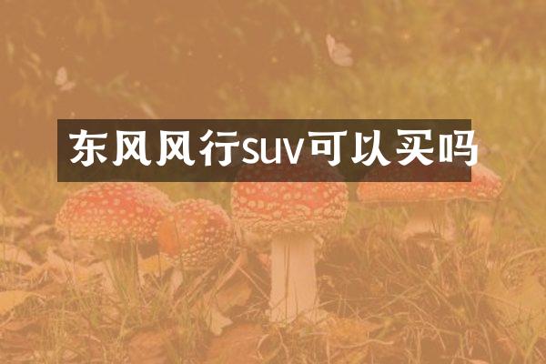 东风风行suv可以买吗