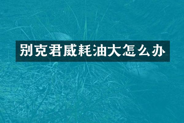别克君威耗油大怎么办