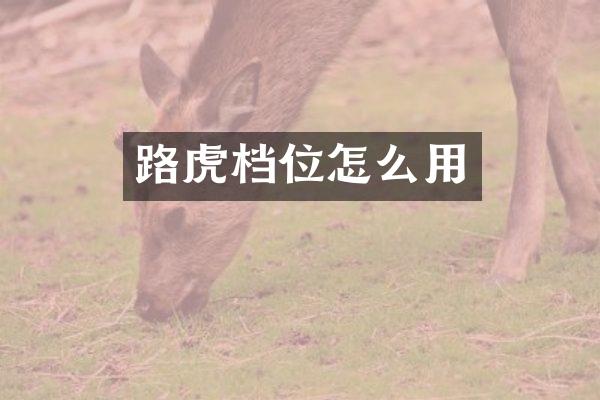 路虎档位怎么用