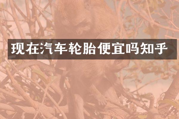 现在汽车轮胎便宜吗知乎