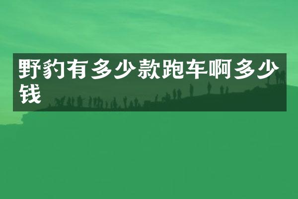野豹有多少款跑车啊多少钱
