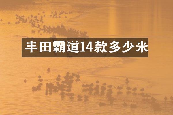 丰田霸道14款多少米