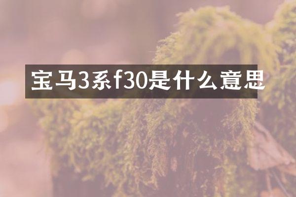宝马3系f30是什么意思