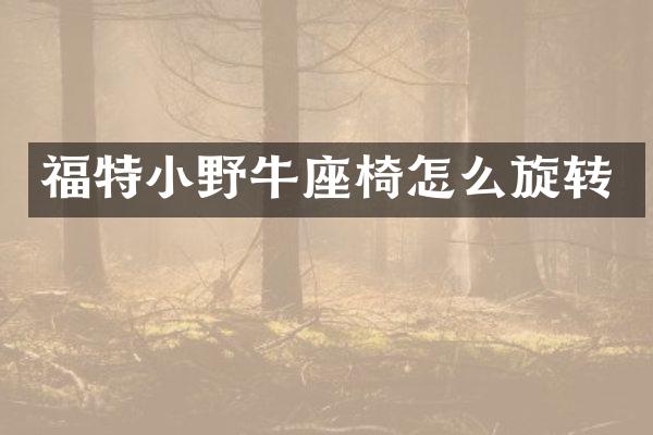 福特小野牛座椅怎么旋转