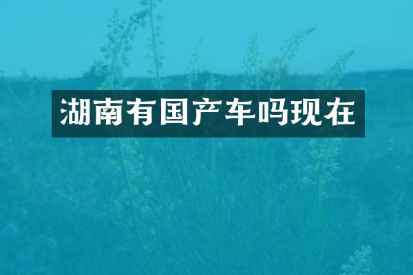 湖南有国产车吗现在