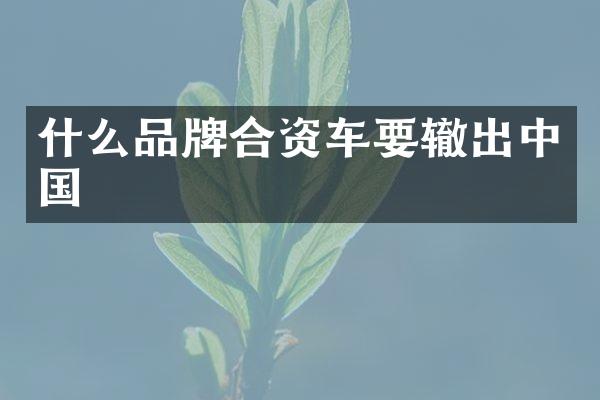什么品牌合资车要辙出中国