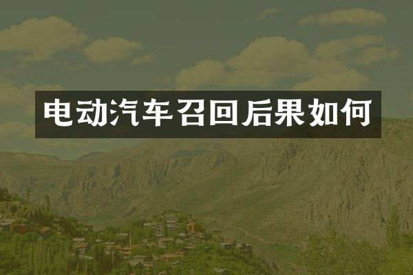 电动汽车召回后果如何