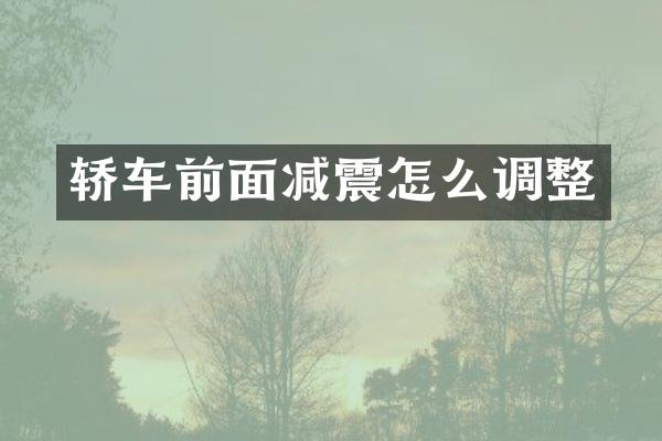 轿车前面减震怎么调整