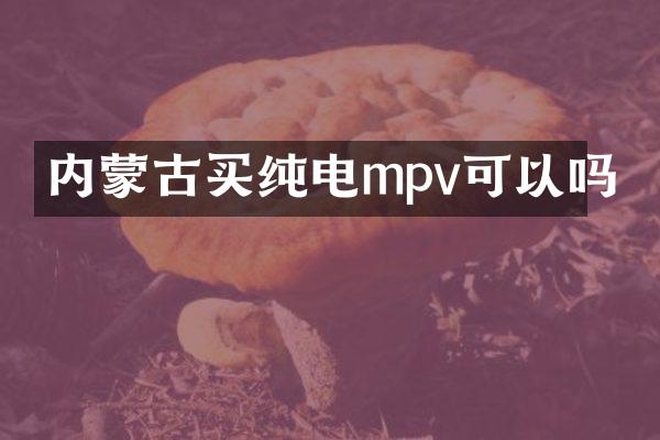 内蒙古买纯电mpv可以吗