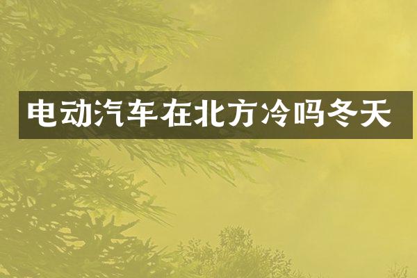 电动汽车在北方冷吗冬天