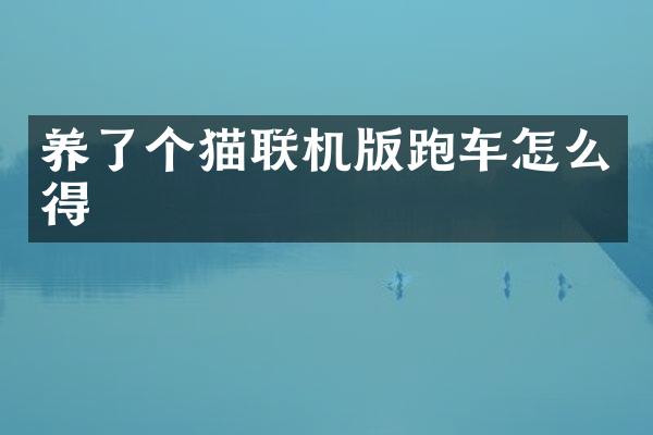 养了个猫联机版跑车怎么得