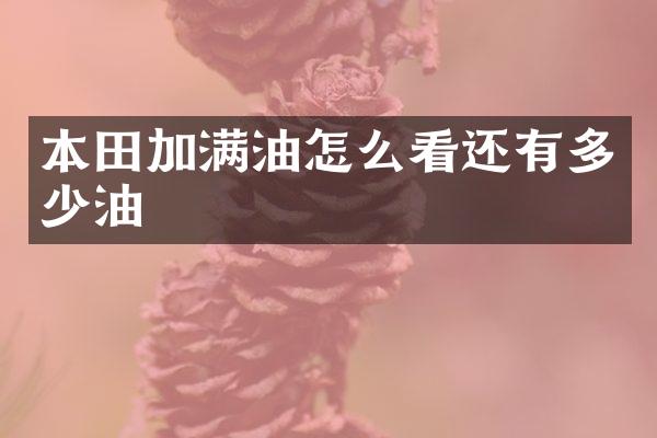 本田加满油怎么看还有多少油