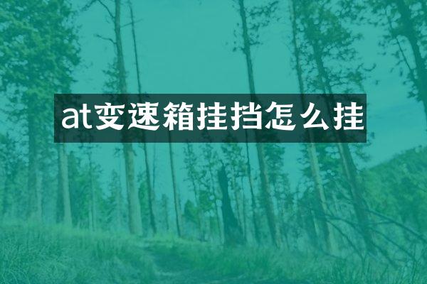 at变速箱挂挡怎么挂