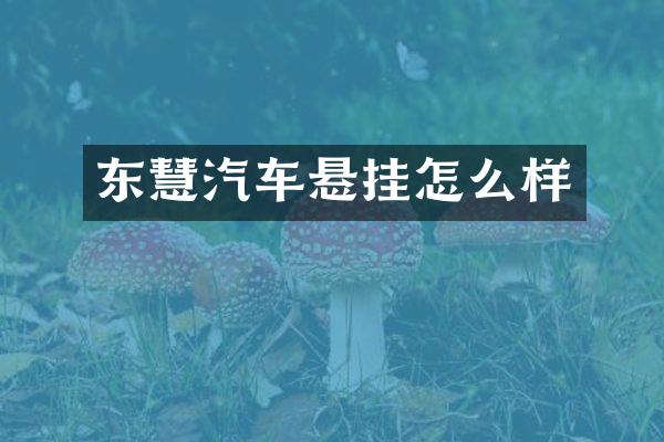东慧汽车悬挂怎么样