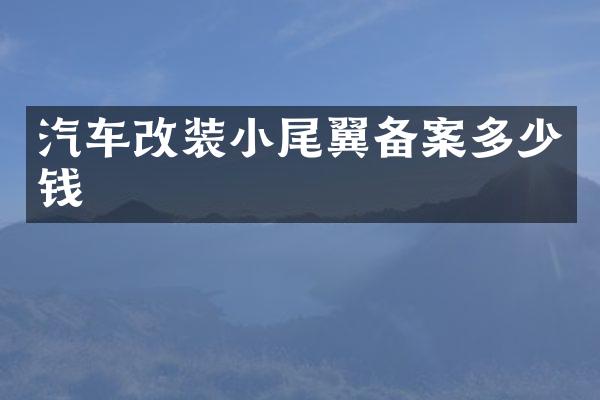 汽车改装小尾翼备案多少钱