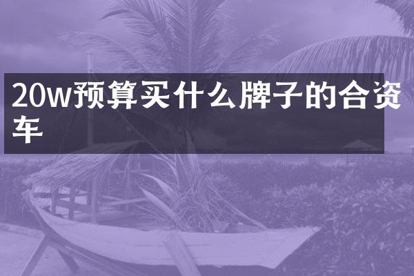20w预算牌子的合资车