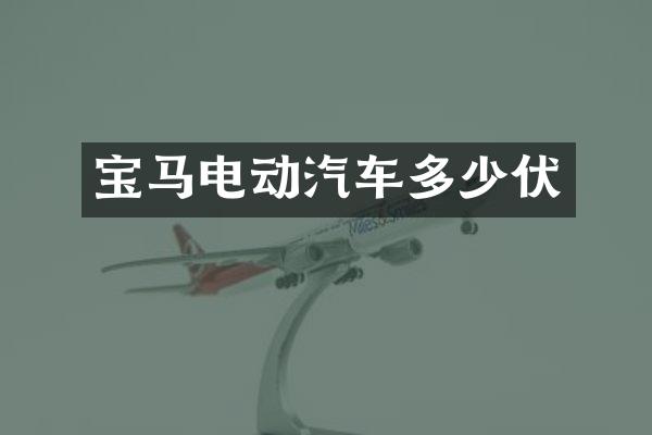 宝马电动汽车多少伏