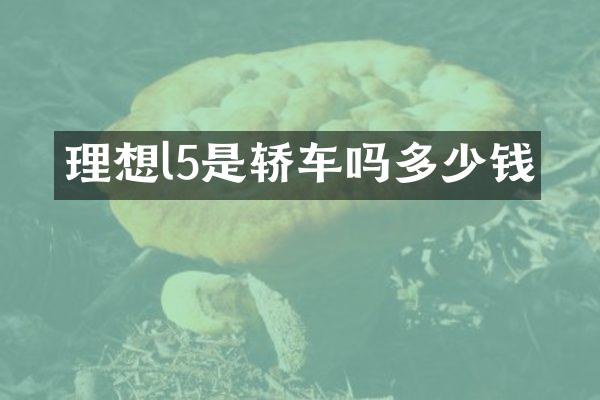 理想l5是轿车吗多少钱