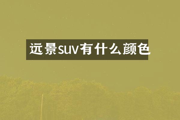 远景suv有什么颜色