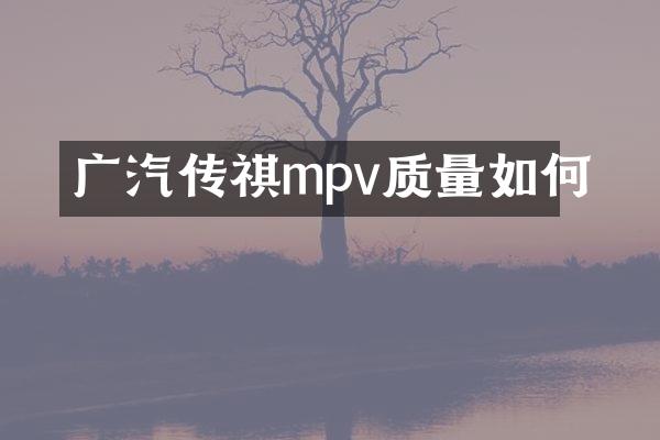 广汽传祺mpv质量如何