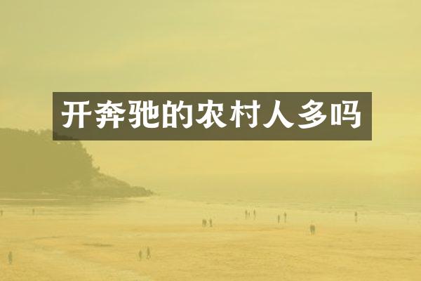 开奔驰的农村人多吗