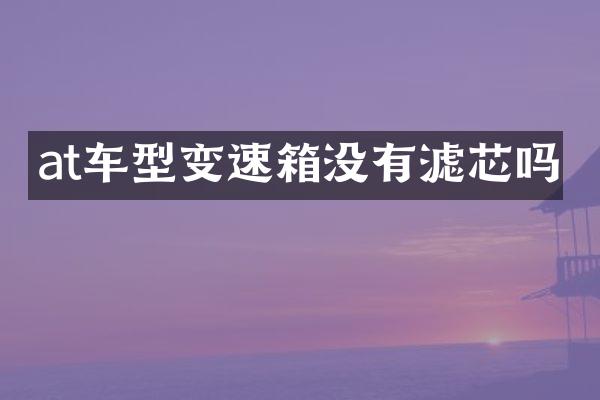 at车型变速箱没有滤芯吗