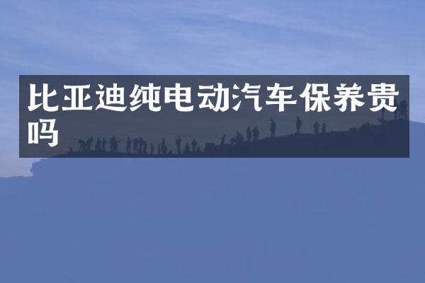 比亚迪纯电动汽车保养贵吗